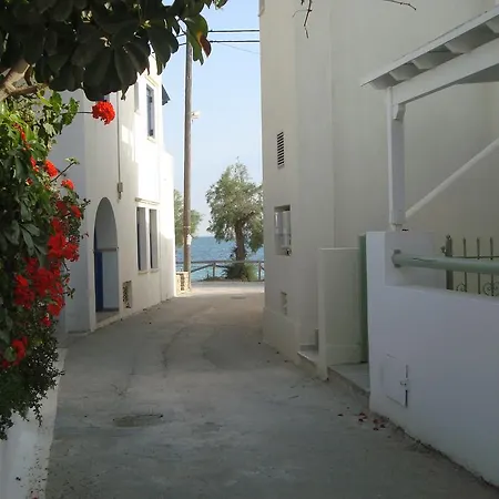 Near The Sea Daire *